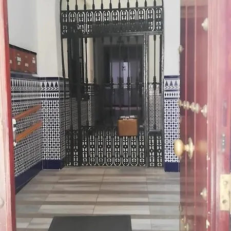 Homefeel Museo