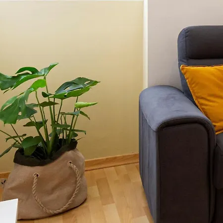 Homefeel Museo Apartment